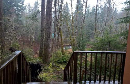 Mt Rainier Little Red Cabin - Foto 20