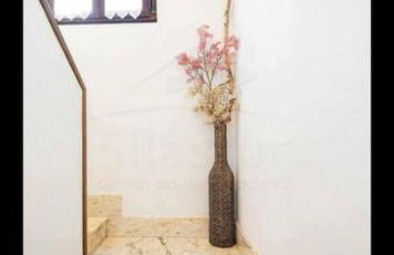 La Casa Azul - Foto 24