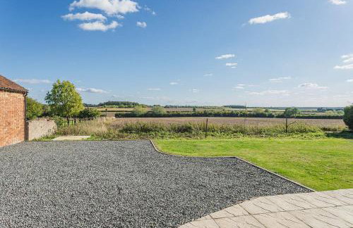 Cornflower - Foto 16