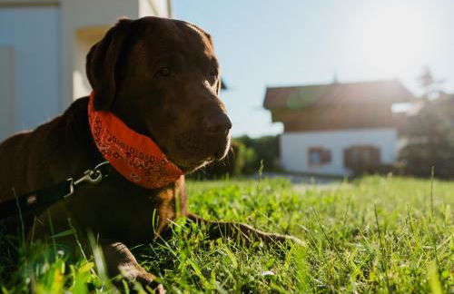 Ferienhaus im Landhausstil im Vital Camp Bayerbach - Foto 5
