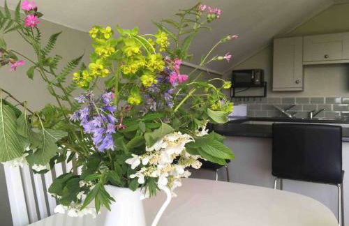 Beautiful Garden Cottage, close to Llandeilo. - Photo 26