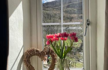 Pen-Y-Bryn Cottage - Foto 8