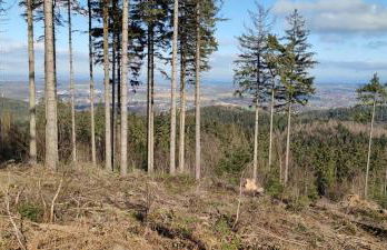 Ferienwohnung - Nadine - Foto 33