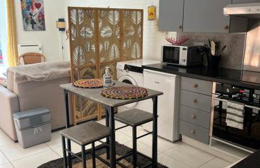 Coup de Coeur sur le Port de ST GOUSTAN, Trés Bel Appartement avec Terrasse - Photo 8