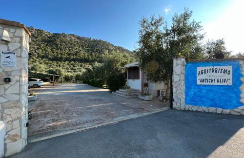 Agriturismo Antichi Ulivi - Foto 33