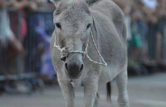 Apartman Mia Ana - Foto 16