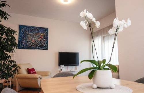 Apartman Čule - Foto 19