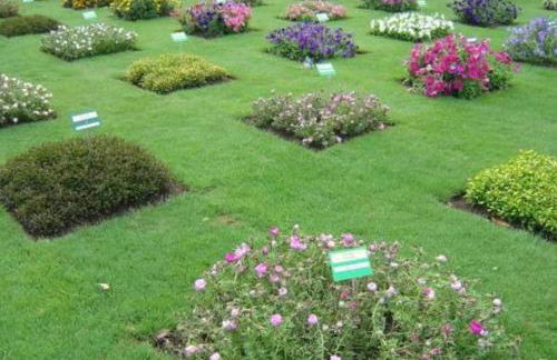 Studio Gare - Jardin des Plantes - wifi & calme - Foto 12