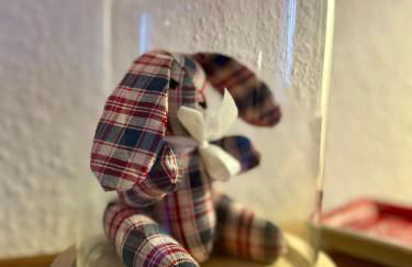 Gîte " le Schmoutzi" Duplex centre historique Riquewihr - Foto 26