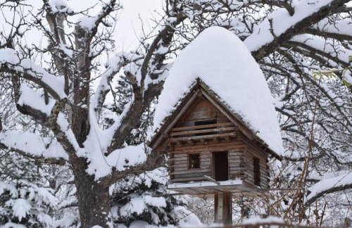 Ferienwohnung Gartenfreude - Foto 25