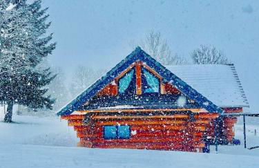 Wood log chalet - Foto 17