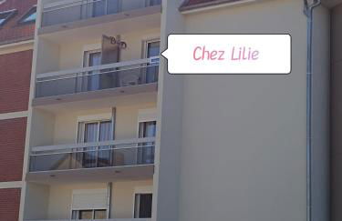 Chez Lilie, Studio cosy classé 2 étoiles Plage de Stella - Foto 15