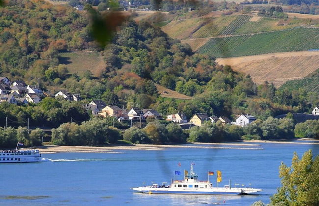 Holiday Apartment Riesling - Foto 19