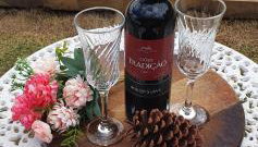 Recanto das Pretinhas - Photo 5