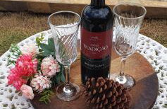 Recanto das Pretinhas - Photo 5