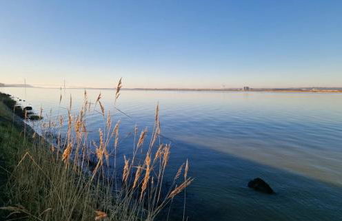 La Cabane du Pêcheur - Foto 61