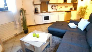 Ferienwohnung-Apartment Regnitztal - Foto 1