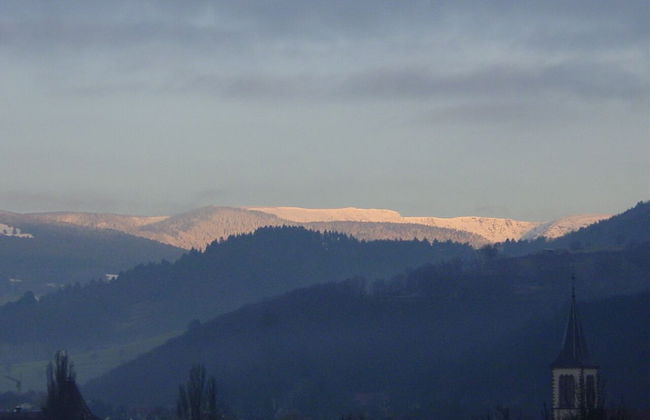Appartements Maison Bellevue - Photo 47