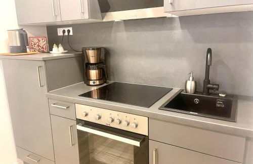 Goldstadt Grand Suite- City Apartment Zentrum Pforzheim - Foto 4