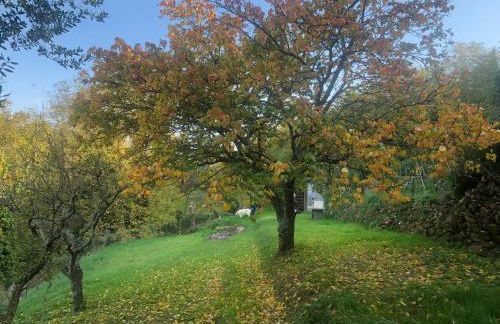 Ciglieri SantErmo Casciana Terme Lari PET&BIKE friendly FREE PARK - Foto 32