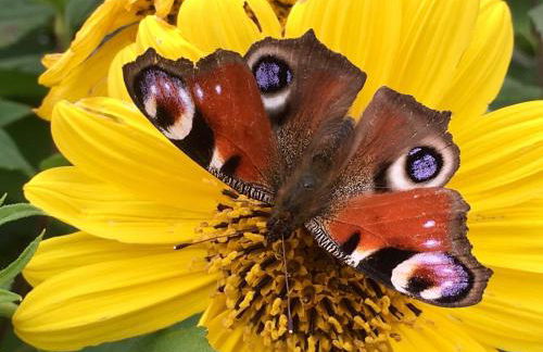 Mach mal Pause bei Geni & Bernd - Foto 10