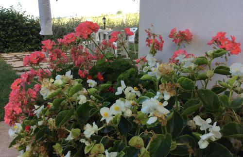 Agriturismo Fattoria colle Luca - Foto 31