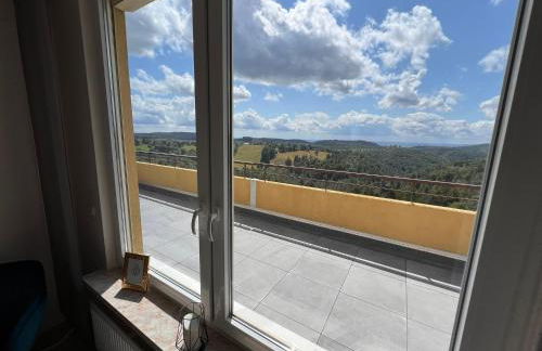 Penthouse - Panorama Suite - Hohegeiß - Foto 42