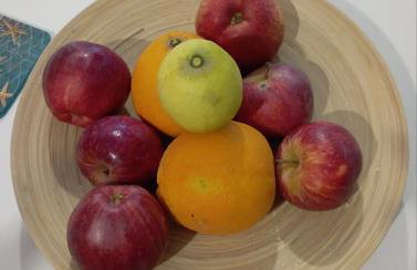 Cozy Studio in Beautiful Apollonas Beach Naxos - Photo 32