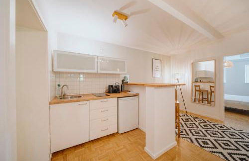 Parklounge Apartment in historic Villa - Photo 5