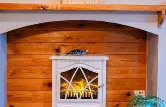 Rural Log Cabin in Snowdonia near Coed y Brenin by Seren Short Stays - Foto 43