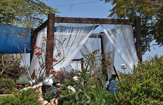 Mul Kineret Suites - Photo 41