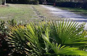 SOTTO IL PINO - Foto 16