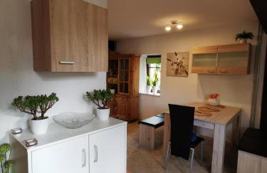 Lenzenhof anno 1720 I - Photo 6