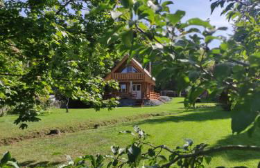 Ferienhaus Birkholz Harz - Foto 8