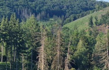 Explorer's Lodge & Camping - Foto 43