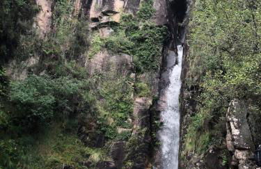 CabrilHome - AL Gerês - Foto 31