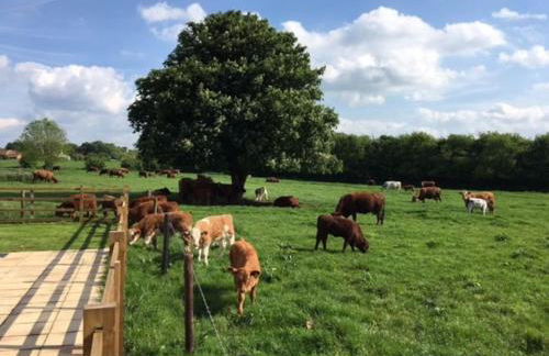 Bainvalley Cottages - The Shamba, sleeps 4 - Foto 22