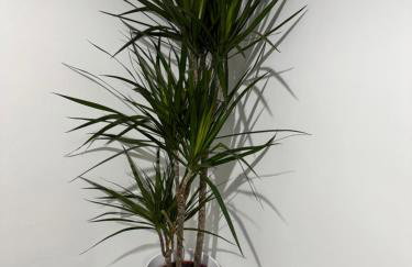 Rowe Terrace Workington - Foto 8