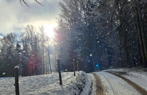 Leśny Reset - Foto 49