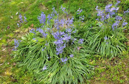 The Troutman Retreat-Near Lake Norman - Foto 49