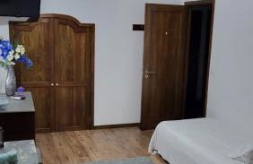 The Blue Hydrangea - Photo 6