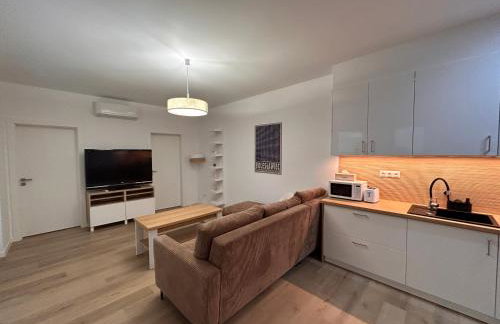 BoleslaviaApartments - Apartament Merci 1, parking free, air conditioning - Foto 5