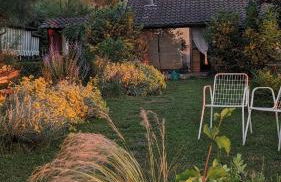 Chalet sul Trasimeno - Photo 19