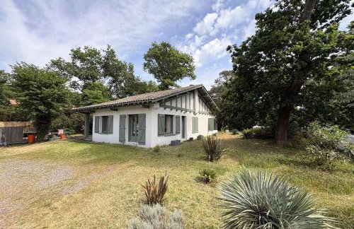 Villa moderne à Grand-Piquey proche du Bassin d'Arcachon, capacité 7 personnes - FR-1-736-71 - Foto 15