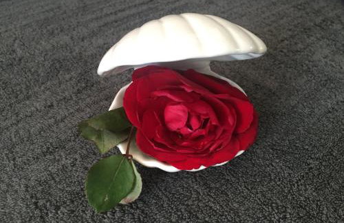 Studio Apartmani BISER 1, 2, 3 Deluxe - Foto 65