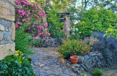 Casa Rural en Candeleda con piscina y un maravilloso jardín - Foto 19