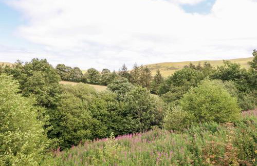 Cuckoo at Wild Valley Huts - Foto 24