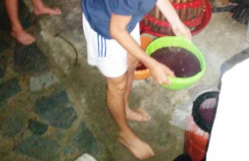 Alexandra Homestay - Foto 63