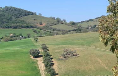 Fattoria Tolomei - Foto 18