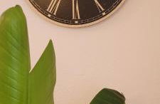 Ludwig XIV - Foto 18